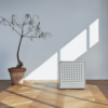 Airmega250_W_1_700x